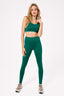 TLC Sports Bra in Emerald Green